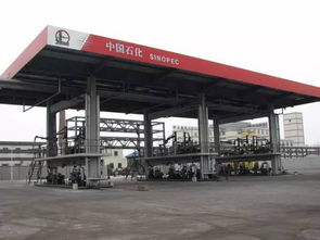 天津财富聚焦 揭秘日用百货领域最有钱的企业